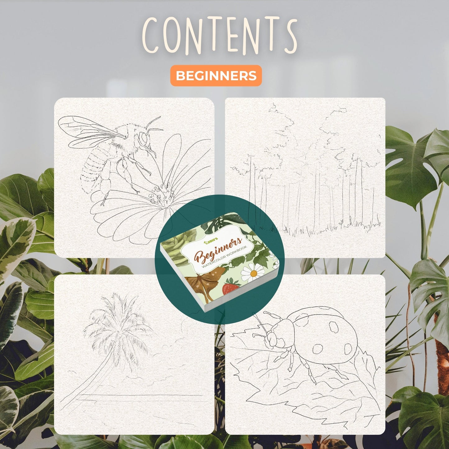 Benovo's Beginners Workbook