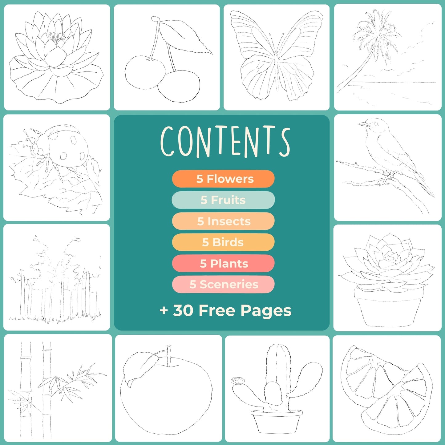 Benovo's Beginners Workbook