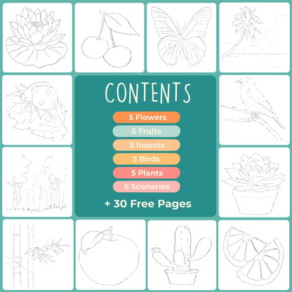 Benovo's Beginners Workbook