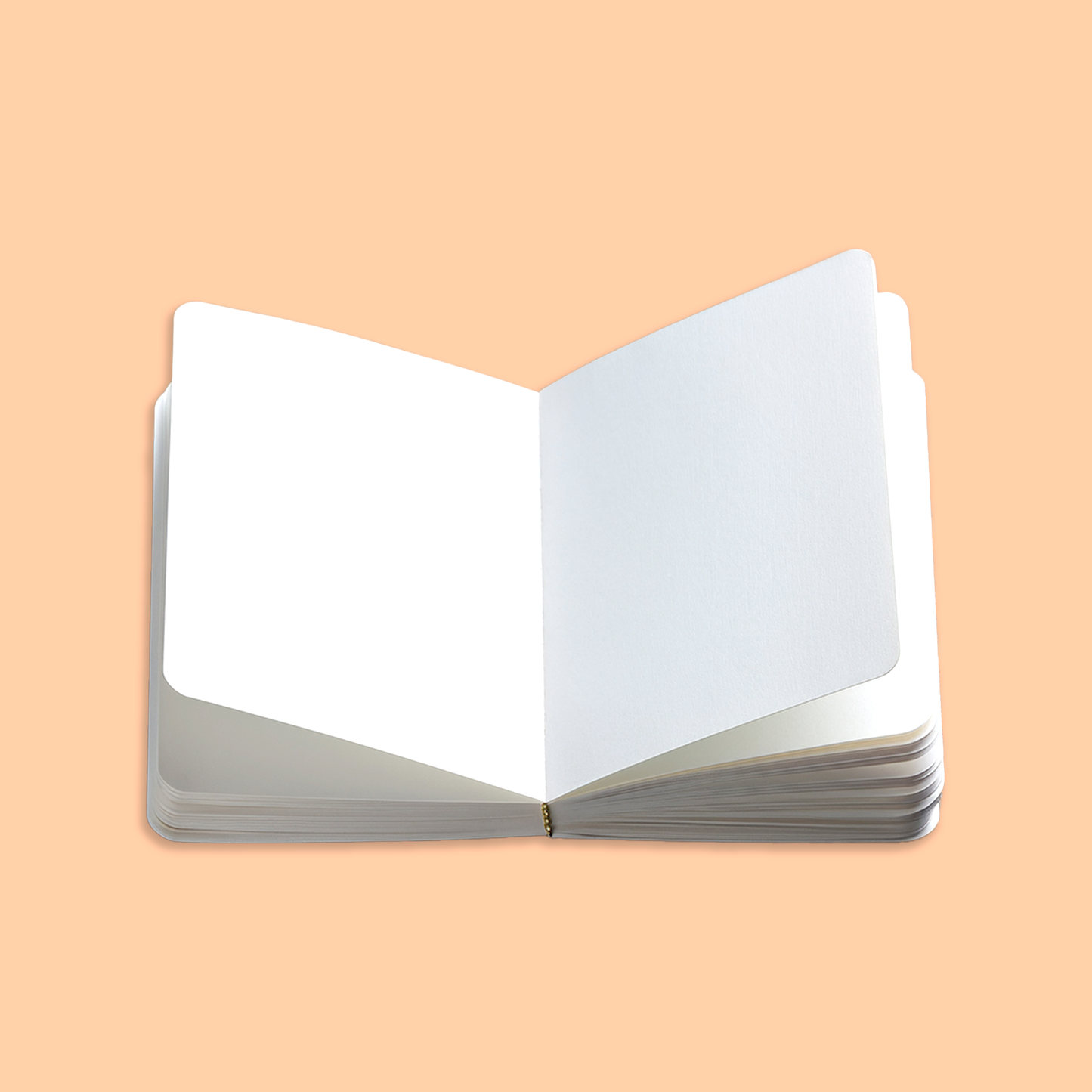 1 Extra Sketchbook (60 Pages)